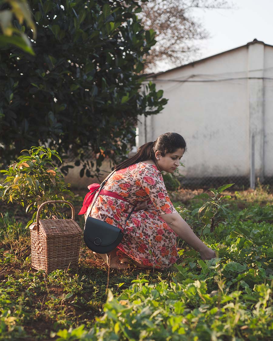 Organic farm at Nehamrit